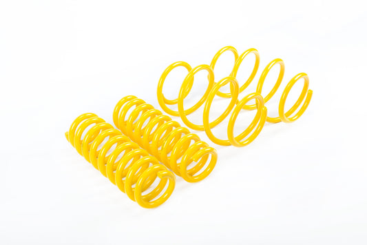 muelles deportivos ST